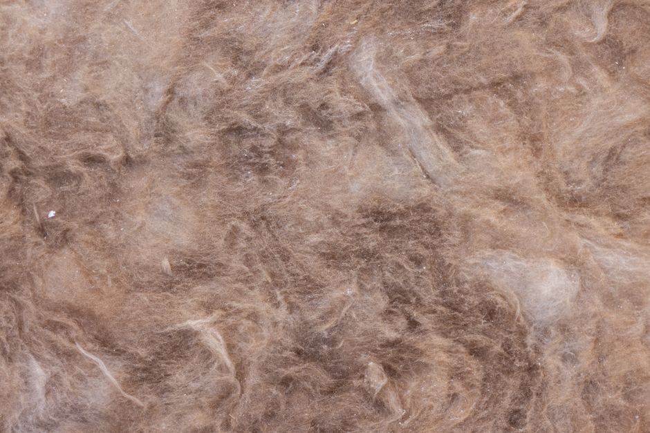 Absorbér